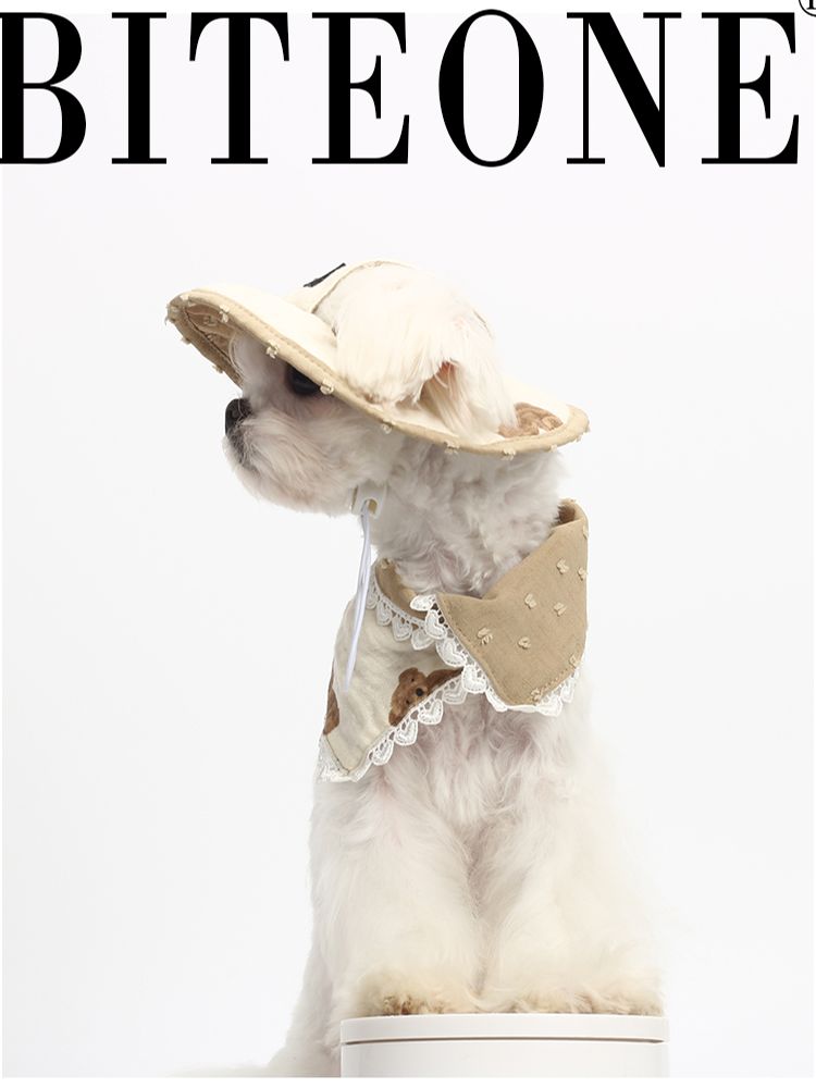 Biteone【Goodnight Bear】 Cat, Dog, and Dog Accessories Spring/Summer New Cute Fisherman Hat