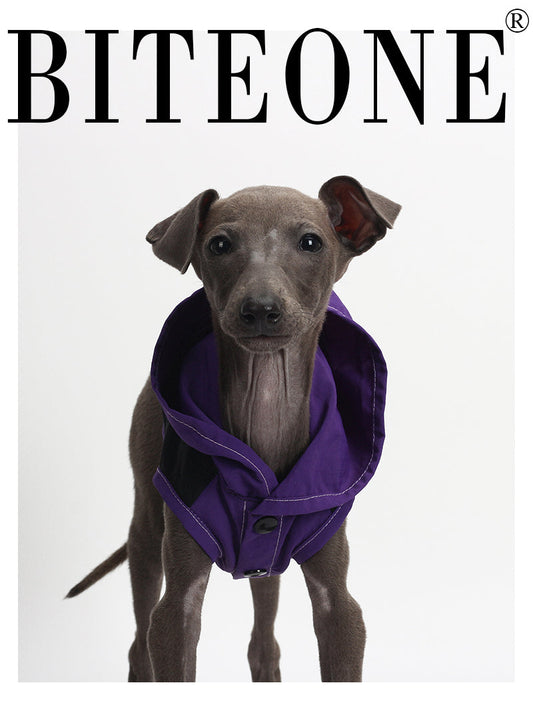 Biteone【Trail runner】Puppy outdoor hardshell Waterproof, UV proof and Stain proof jacket