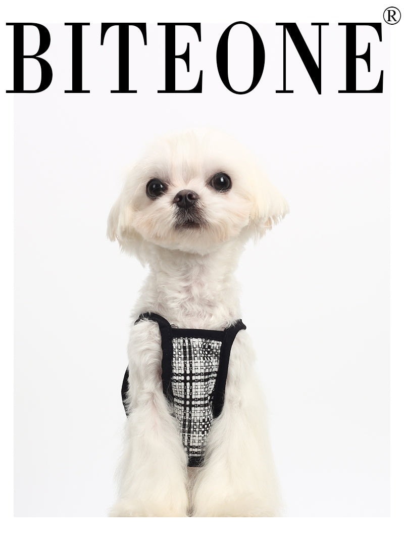 Biteone 【Vichy】 Cat and Dog home small sling