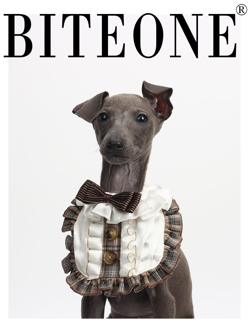 Biteone【Dream back to Baker Street】Neckerchief