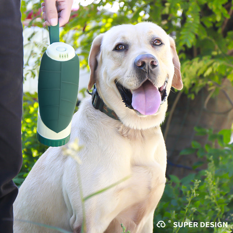 Dual-purpose leaf kettle for pets