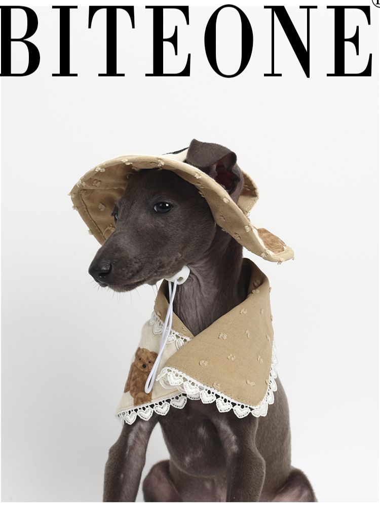 Biteone【Goodnight Bear】 Cat, Dog, and Dog Accessories Spring/Summer New Cute Fisherman Neck